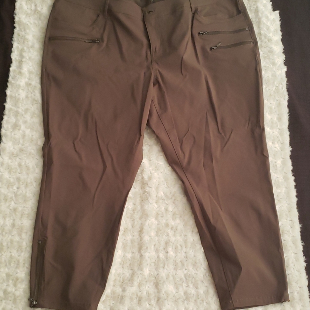 Torrid Jeggings